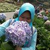 fifinrochayatun41