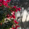 sahar.alaa70