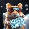 itcrazyvideos