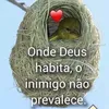 user2490311185769