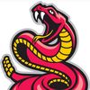 rattlesnake707
