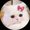 user242324565