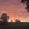 tilby.j