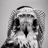 bkr_831