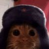 gato.ruso563