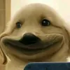 meme.toptiktok