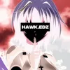 hawk.edz
