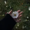 .li.d2