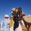 hamed.mahamand