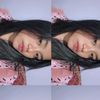 pipin2564