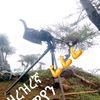user4351231722947