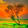sahib.write2