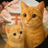 cat.lovers3555