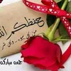 a__li117