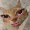 plnmaux