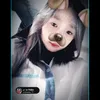 kittyy_fann