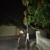 langg.galang5