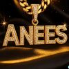 anees.rizvi6