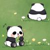 viv.xu728