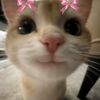 rotob.yigcjfeig