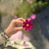 happy.jattiayan.h