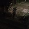 user911023507357