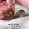 bgayaruhh