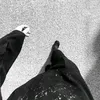 uxp_00