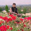 tajid85