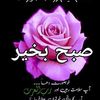 qummarhussain.hus