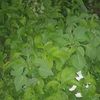 moussa.mht.moussa83