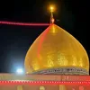 wa_hu82