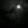 ذكرٌ وطمأنينة