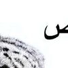 user92080786157766