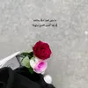 ghadeer__313__