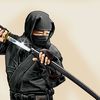 the_ninja_nn