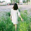 tulip.t01
