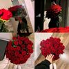 joselin.diaz399
