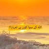 yahya11505