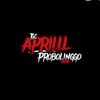 ya.aprilia249