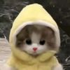 natthaya_5674