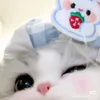 .clairien23