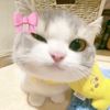 kim_lup4