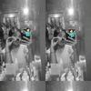 olennnn1008