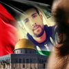 mahi.mostefaoui0