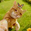 Tom Cat