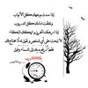 moeen.711