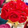 rasha.mohammed170