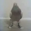 1dk0_offc8