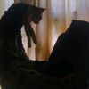 dark.cat3647